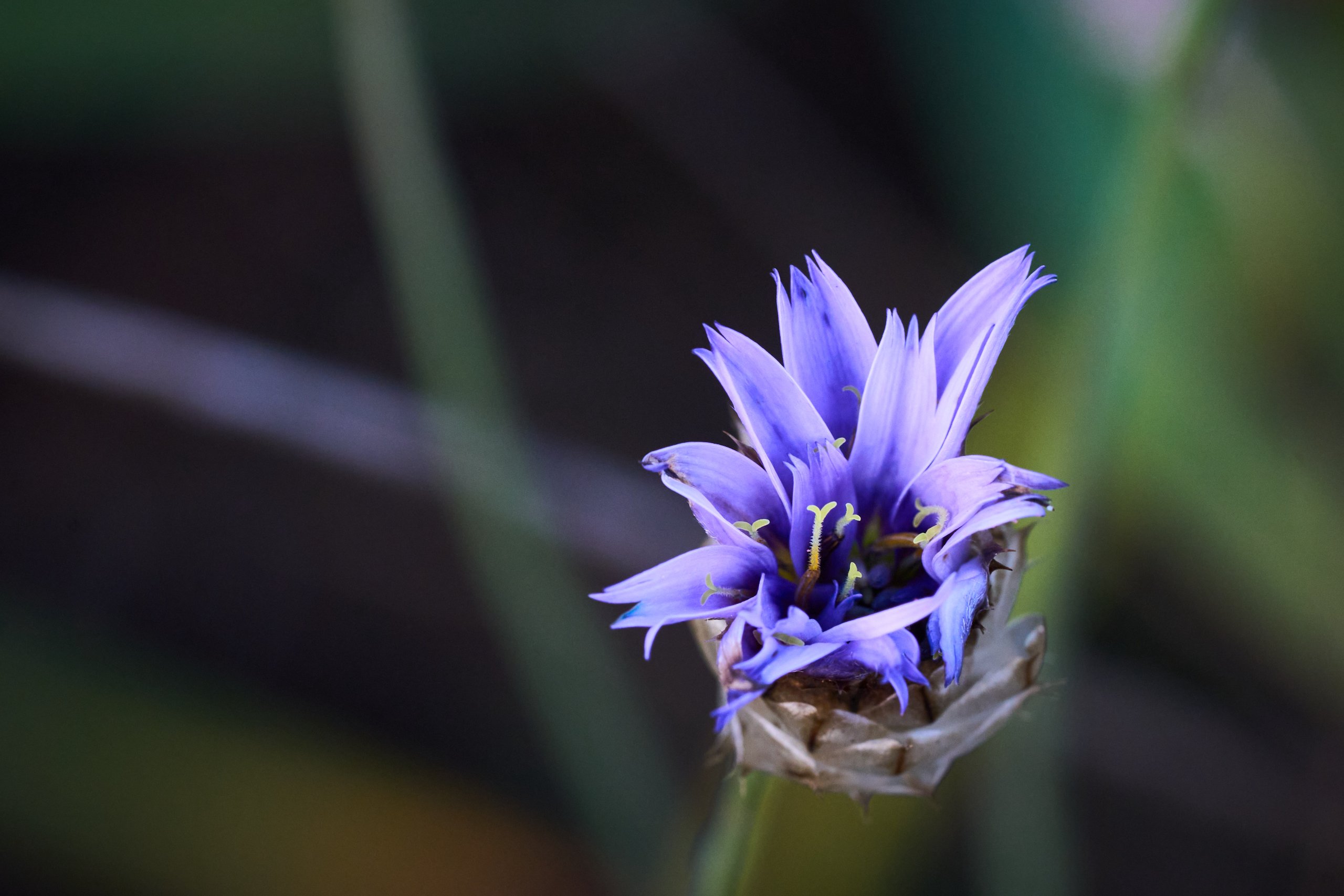 2025 11 02 Gruga 0059